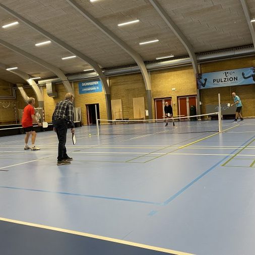 senioridræt_pickleball